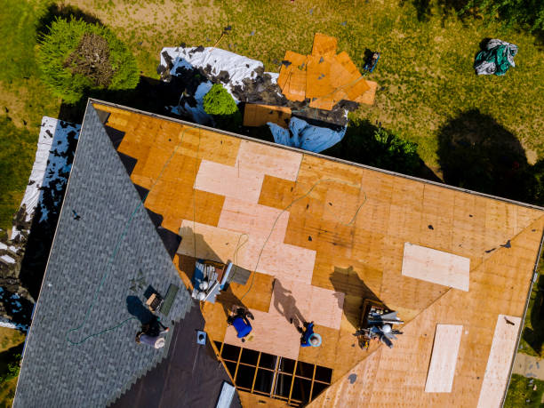 Best Metal Roofing Contractor  in Westfield Center, OH